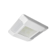 CREE CPY LED Luminaire