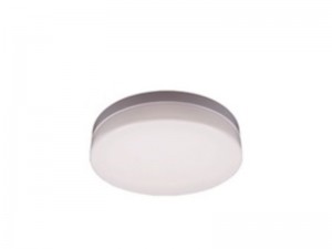 TE LED Round Ceiling Light