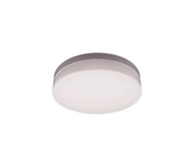 TE LED Round Ceiling Light
