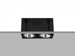 TE FH2108 2x10W Trim-less Square Recessed LED Downlight              