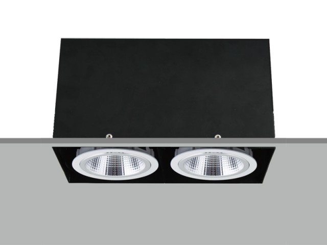 TE FH2830 2x20W Trim-less Square Recessed LED Downlight