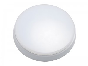 TE IP66 LED Ceiling Lighting