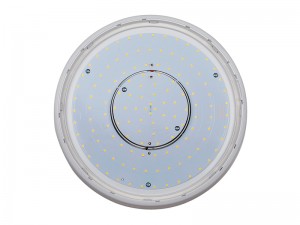 TE IP66 LED Ceiling Lighting