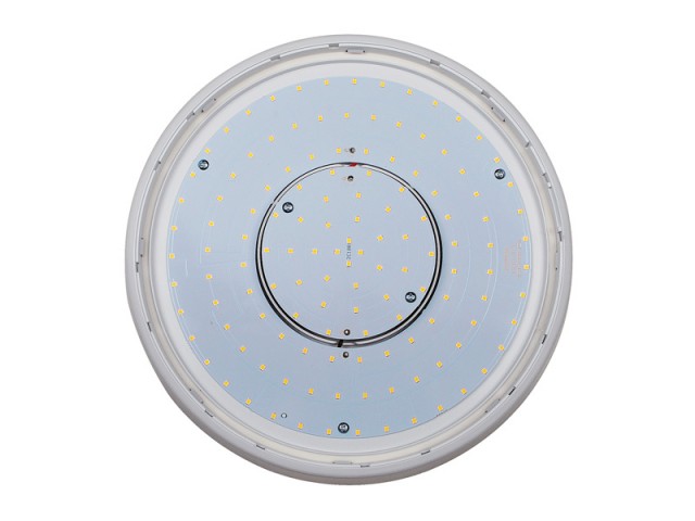 TE IP66 LED Ceiling Lighting