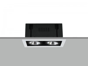 TE FR2358 2x10W Square Recessed LED Downlight