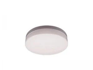 TE Lighting LED 圓形天花燈