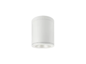 TE NE2858 15W 表裝式防水 IP64 筒燈