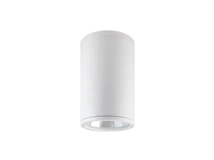 TE NE2999 48W 表裝式防水 IP65 筒燈