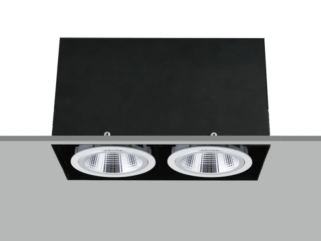 TE FH2830 2x20W Trim-less Square Recessed LED Downlight TE FH2830 2x20W Trim-less Square Recessed LED Downlight