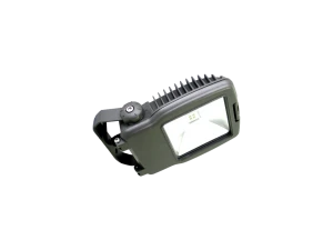 TE Lighting LED 迷你泛光燈