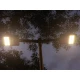 Kingsun Apollo LED Street Light Kingsun Apollo LED Street Light